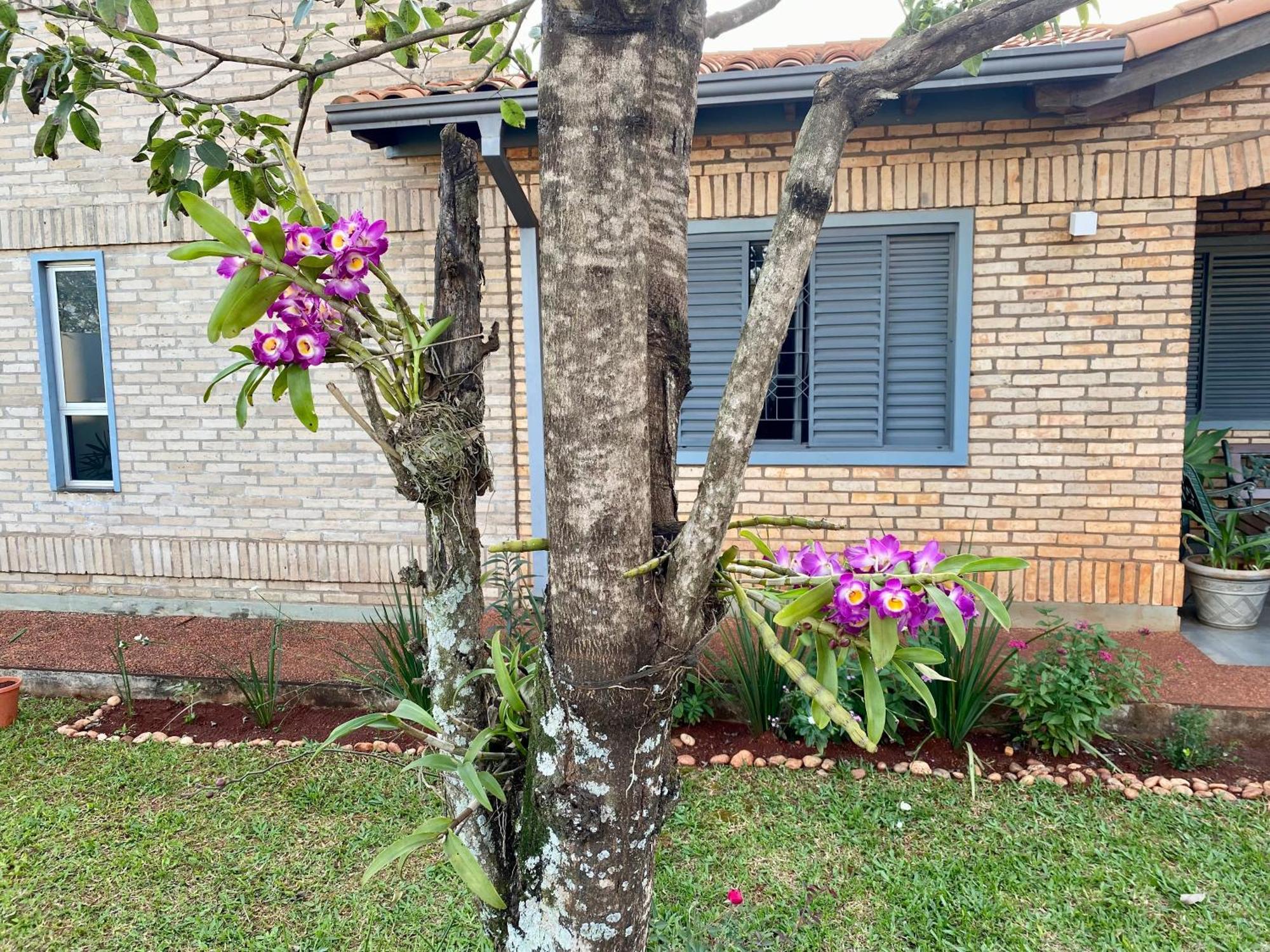 Moderna Y Unica Casa Independiente Con Jardin Y Estacionamiento 埃斯特城 外观 照片