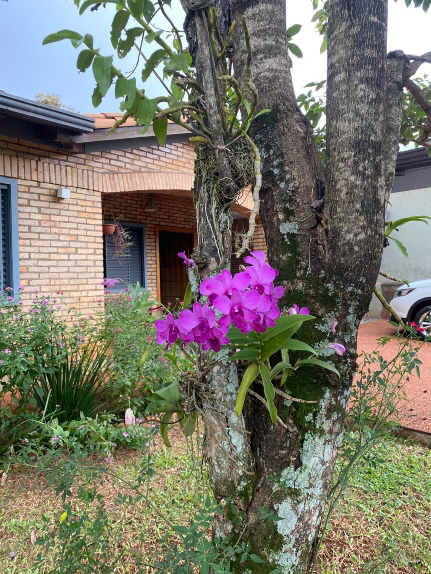 Moderna Y Unica Casa Independiente Con Jardin Y Estacionamiento 埃斯特城 外观 照片